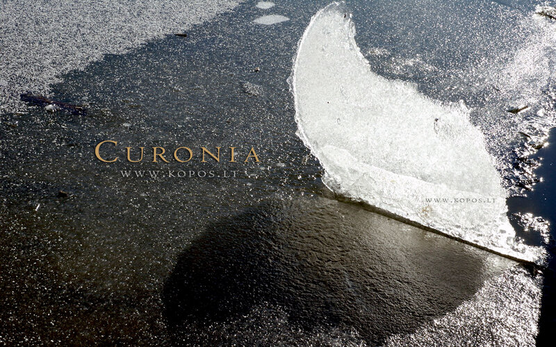 Ice Chunk on Frozen Water
