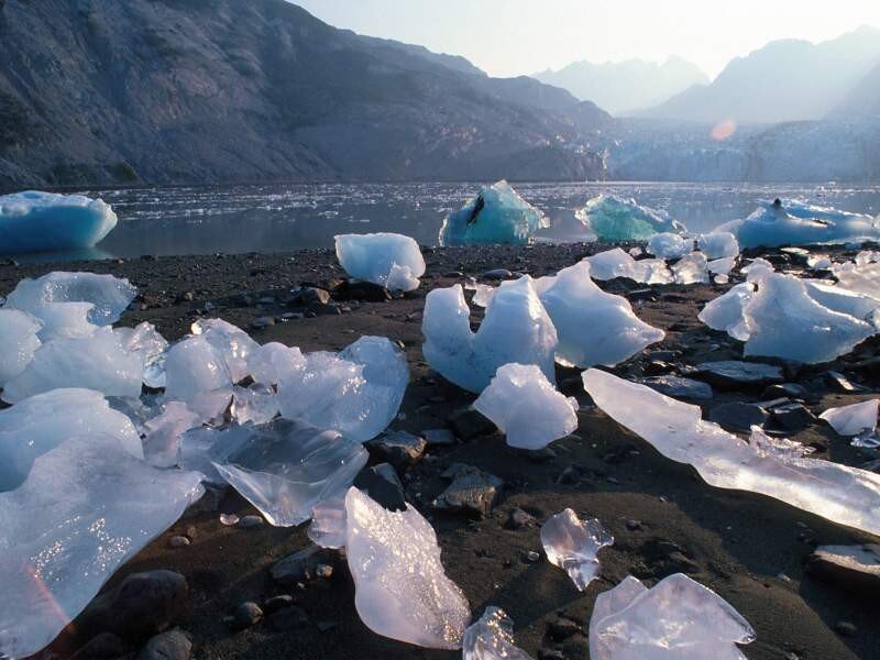 Ice chunks on a black sand beach