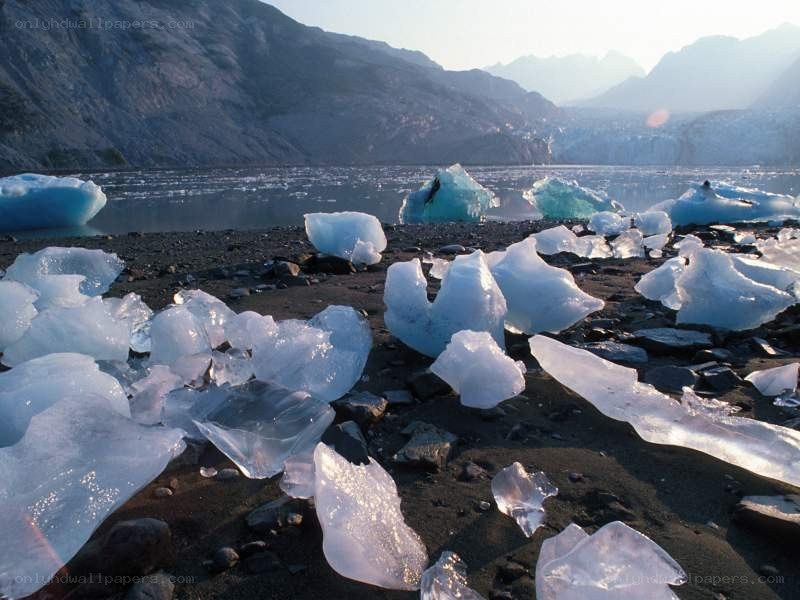 Ice chunks on a black sand beach