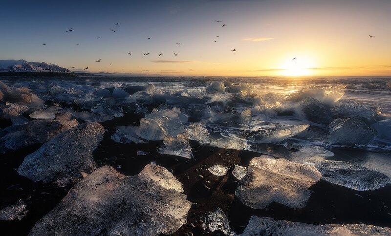 Ice Chunks on Black Sand — Blue, Serene, Sunset