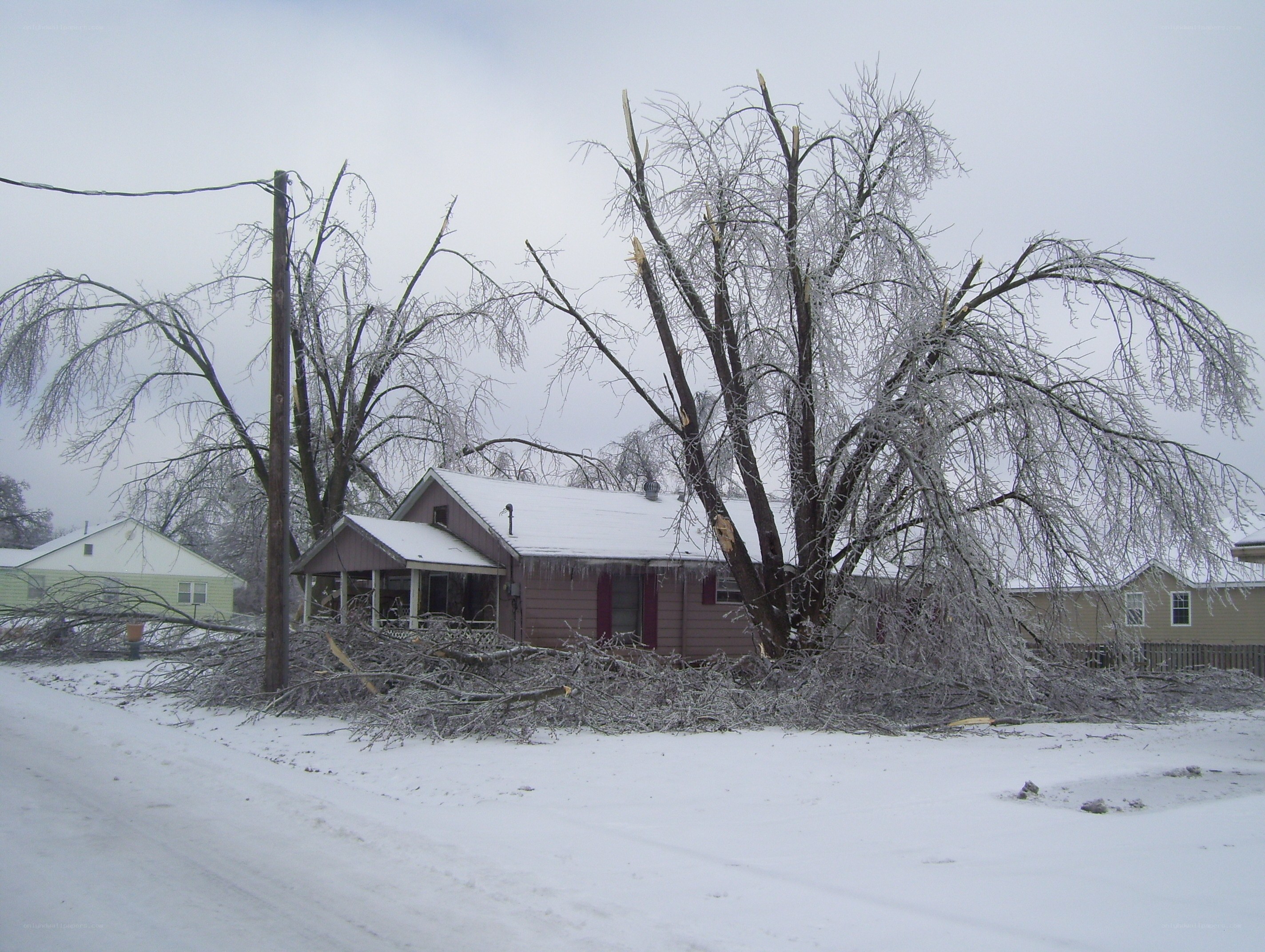 Ice-covered trees damage house