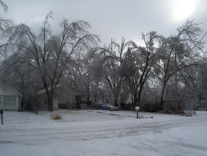 Ice-covered trees in a snowy neighborhood