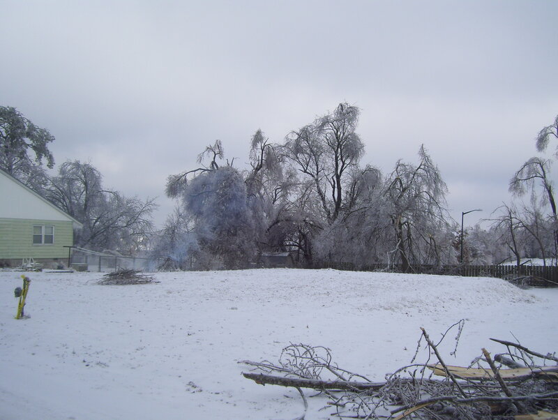 Ice-covered yard after storm