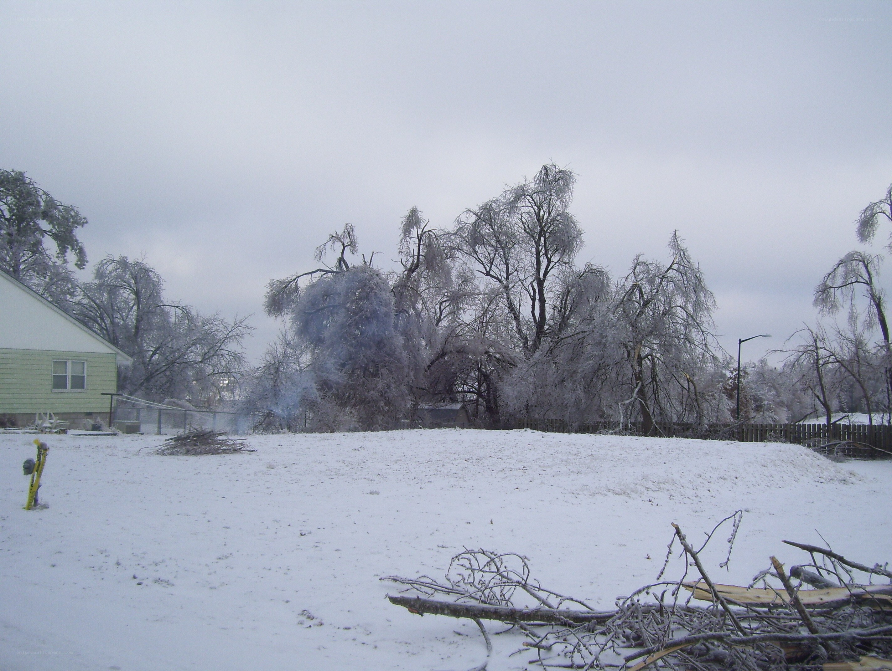 Ice-covered yard after storm