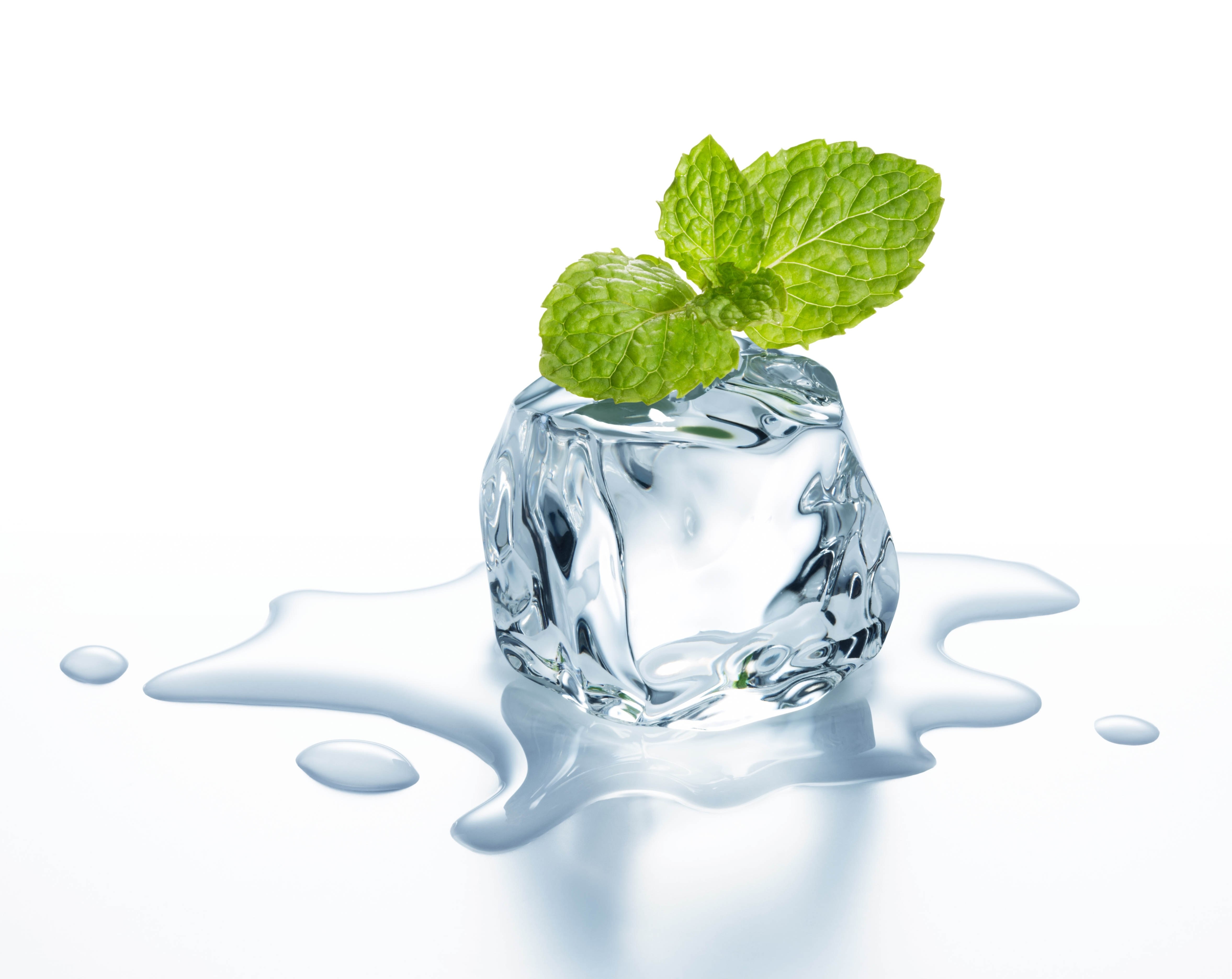 ice cube with mint leaf