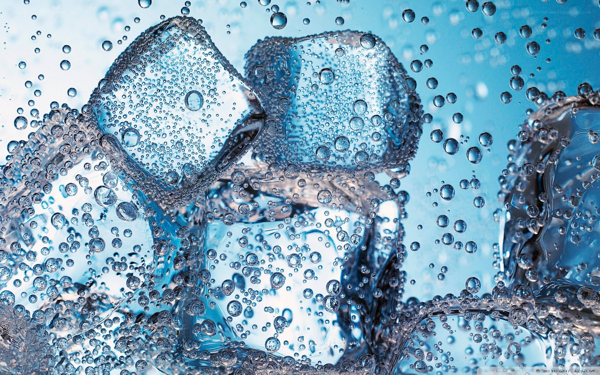 ice cubes in carbonated water