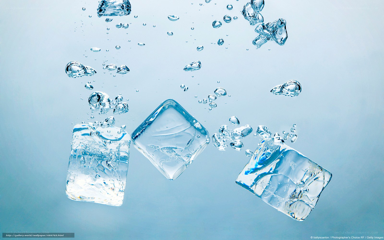 ice cubes in water