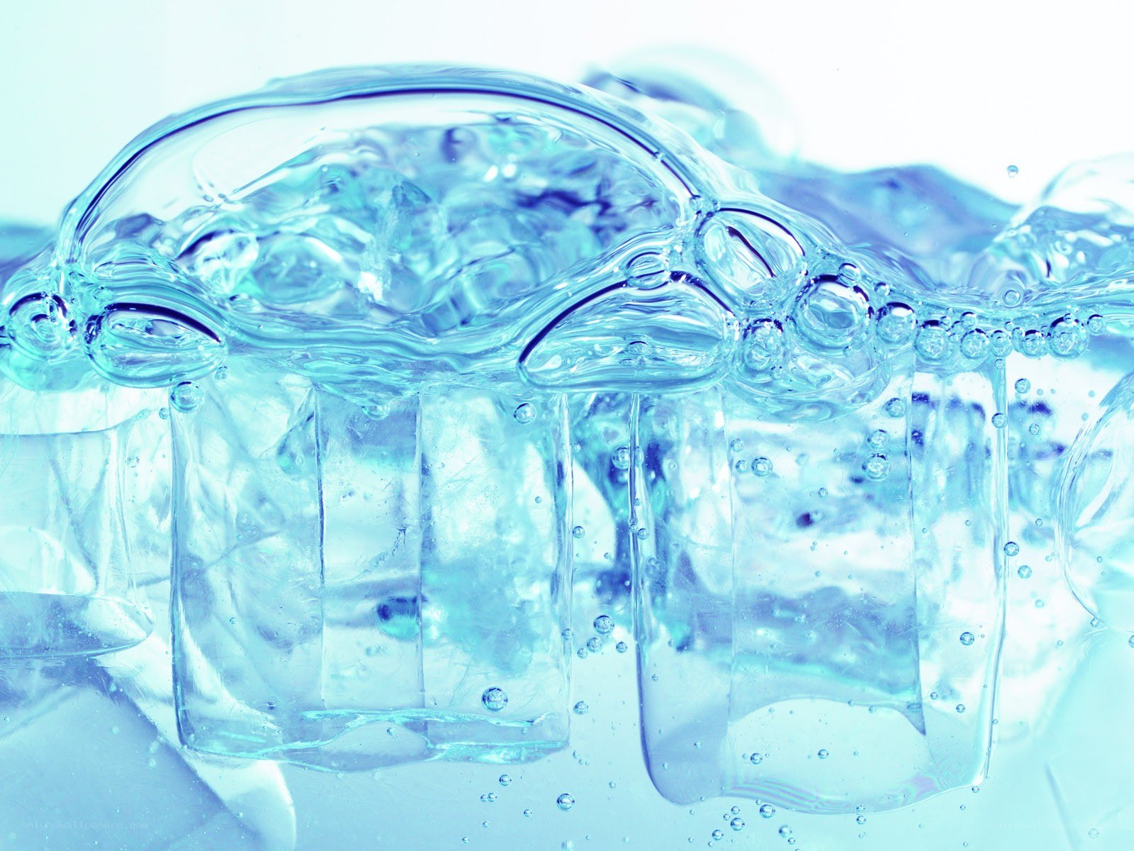 ice cubes in water