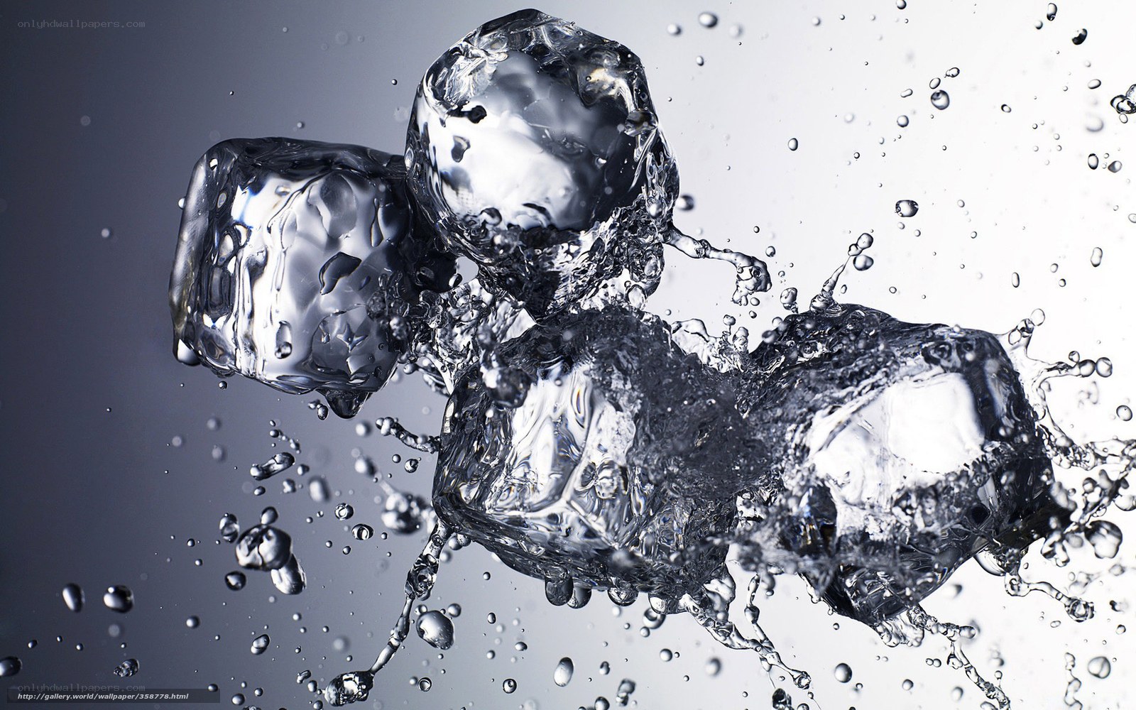 ice cubes splashing in water
