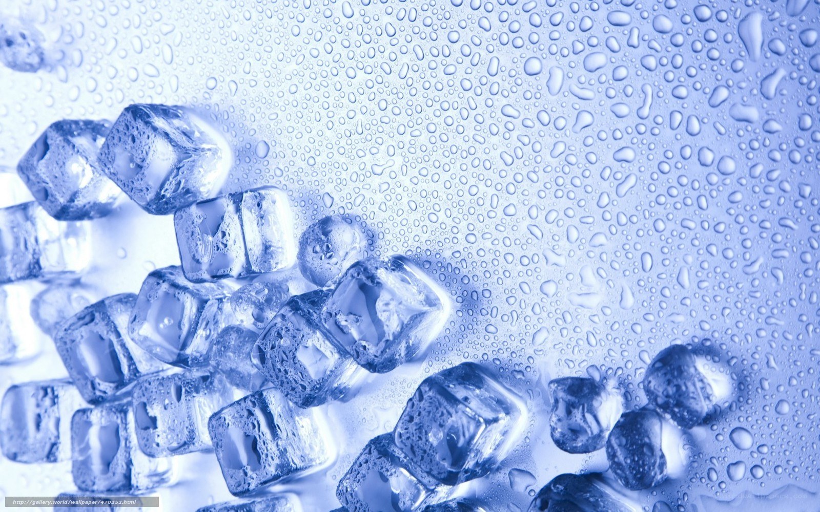 ice cubes with condensation