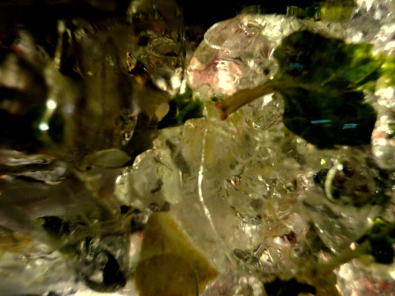 Ice Cubes with Mint