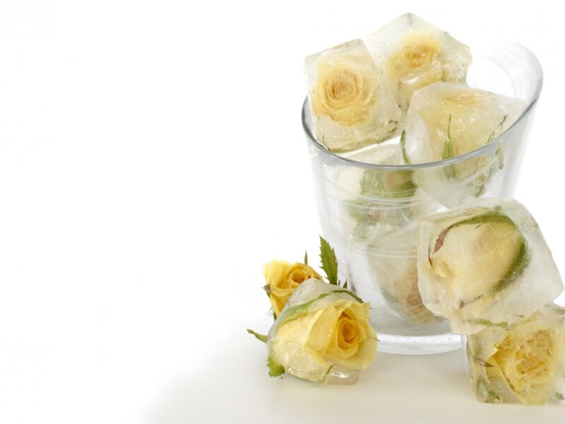 Ice Cubes with Roses