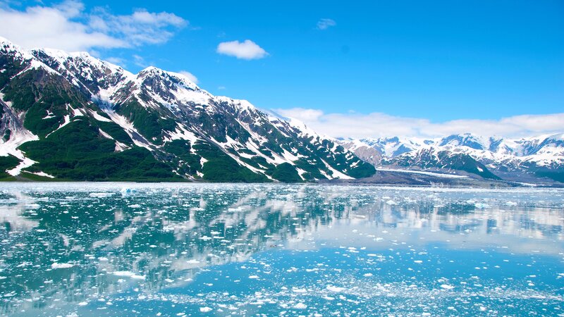 Ice-filled Bay with Mountains