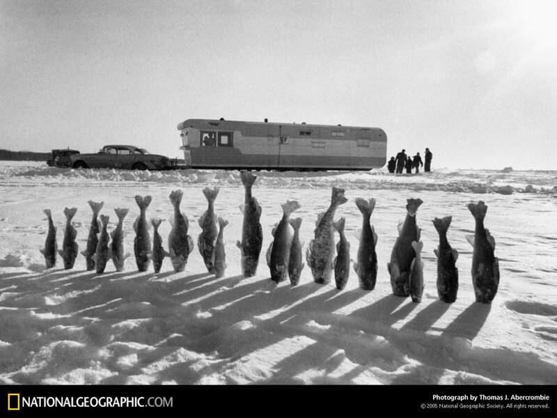 Ice fishing haul on a frozen lake