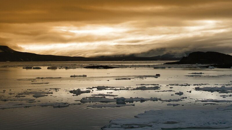 ice floes at golden hour