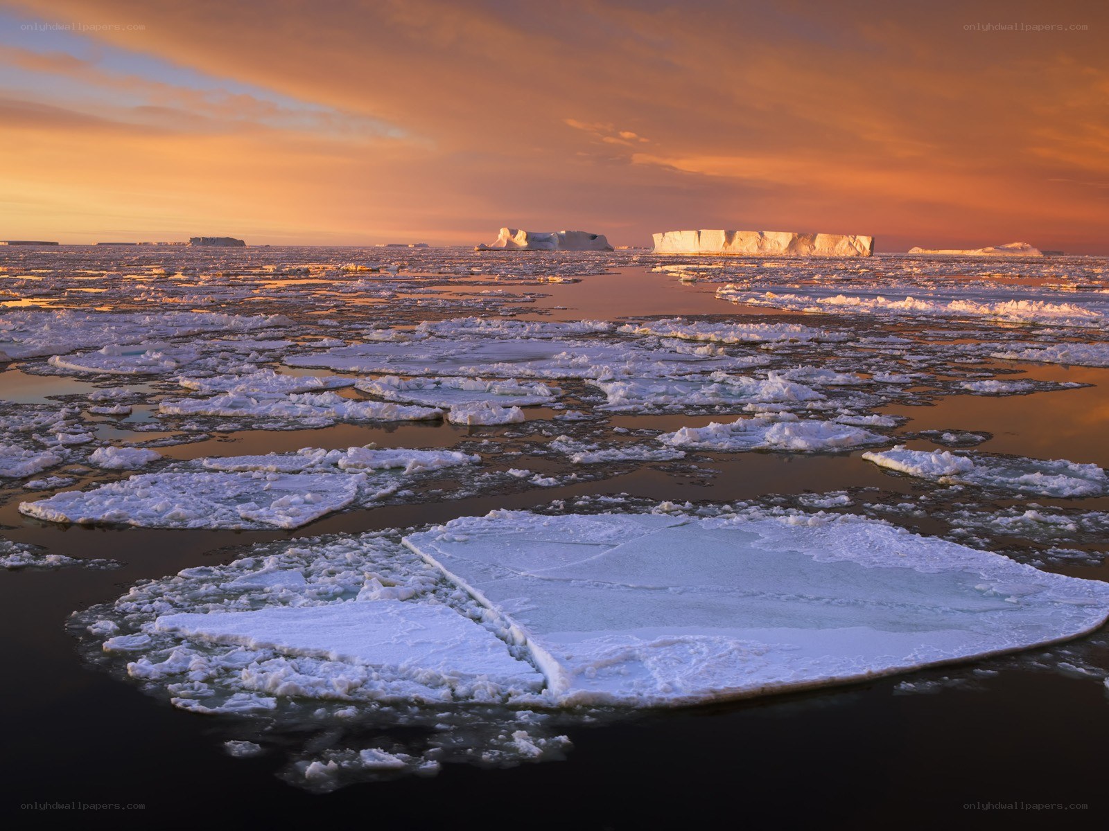 Ice floes at sunset