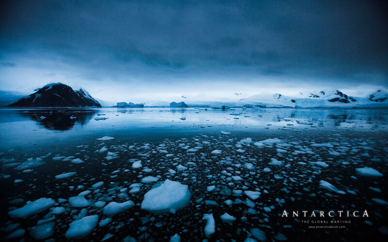Ice Floes in Antarctic Waters