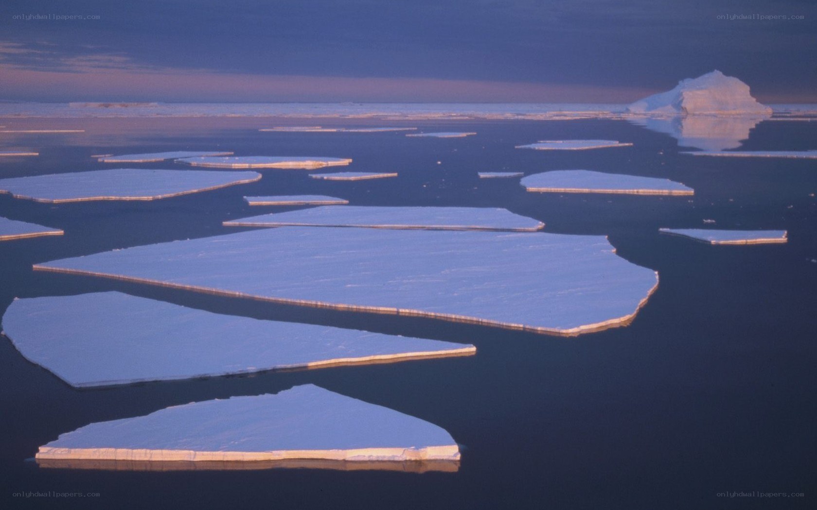 ice floes in arctic waters