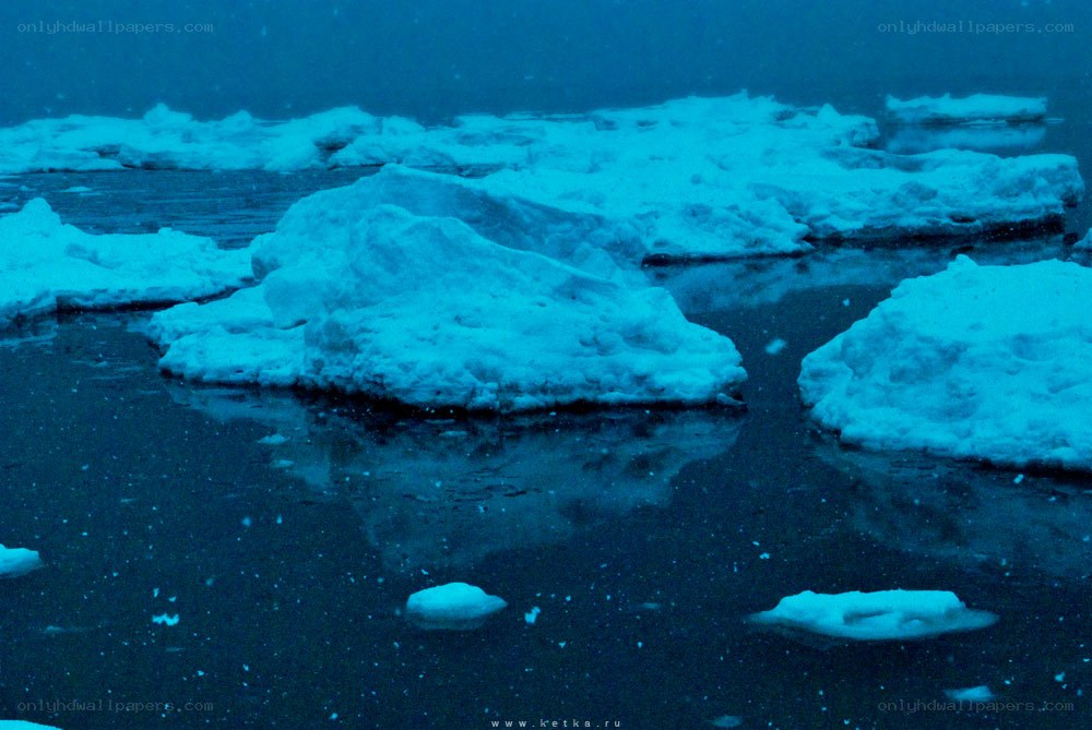 ice floes in dark water