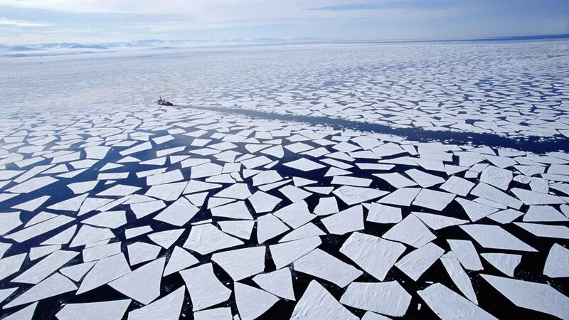ice floes in polar region
