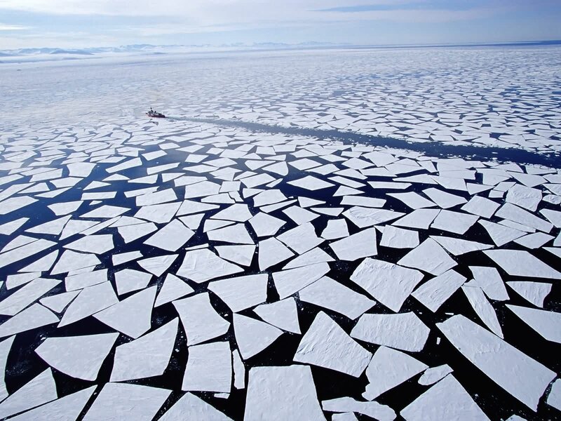 Ice floes in polar region