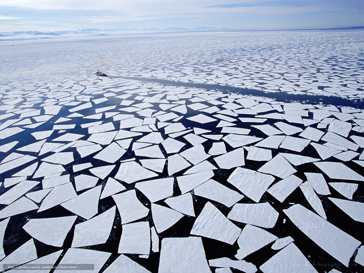 Ice floes in polar region