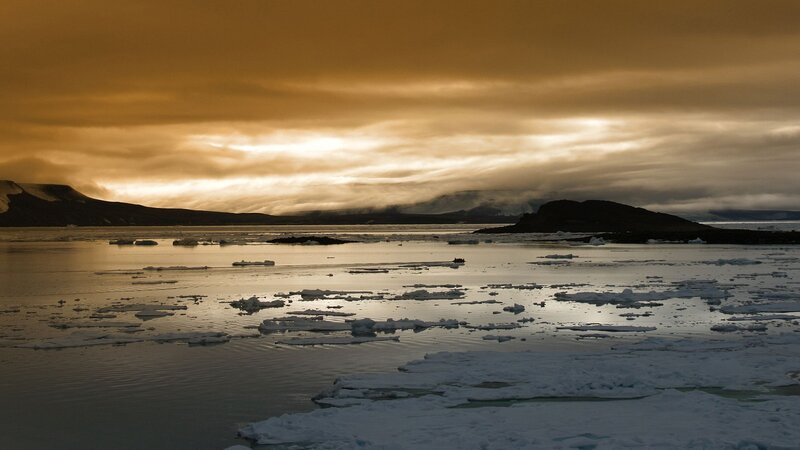 Ice Floes in Polar Water — Brown