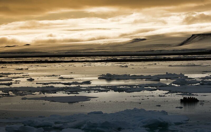 Ice Floes in Polar Water — Gold, Dramatic, Sunset