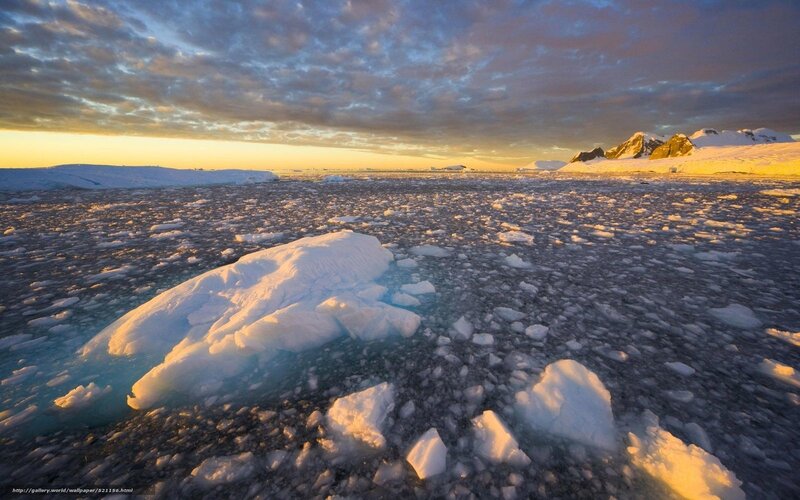 Ice Floes in Polar Water — White, Dramatic, Sunrise
