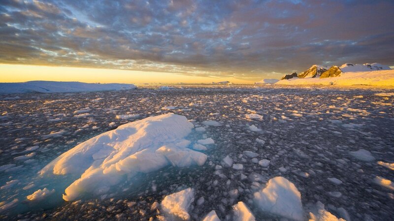 Ice Floes in Polar Water — White, Dramatic