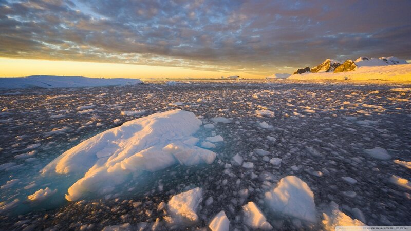 Ice Floes in Polar Water — White