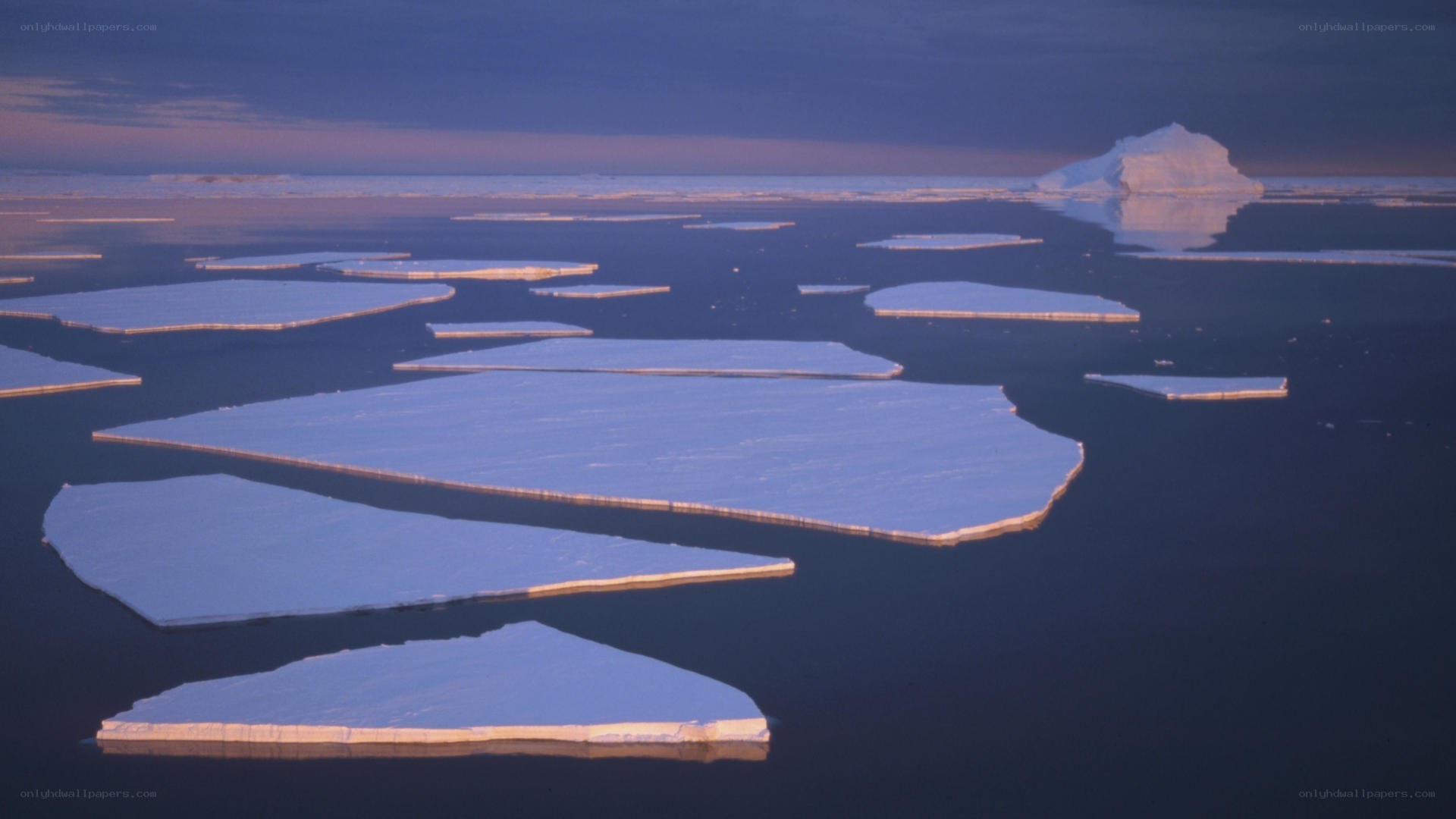 ice floes in polar waters