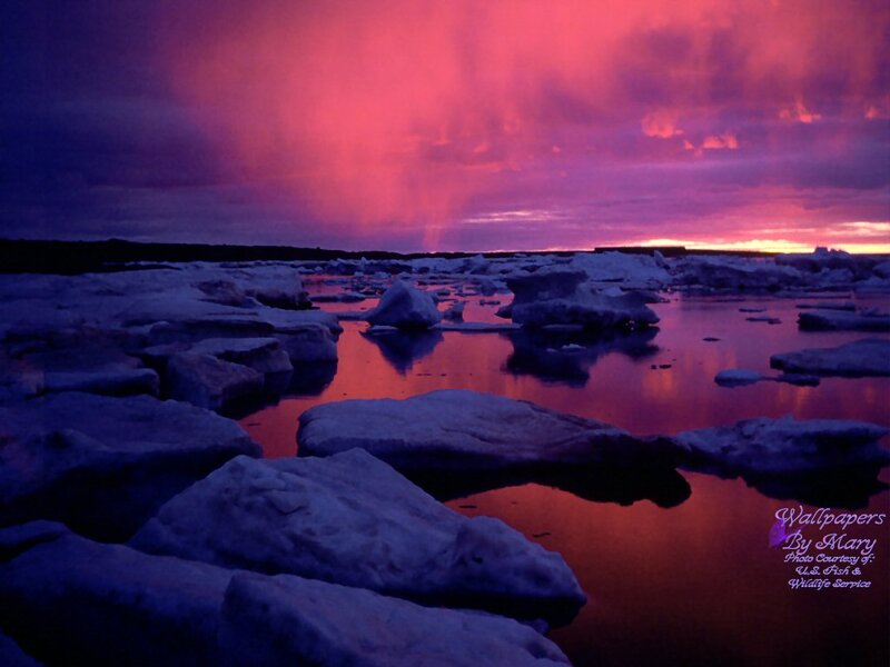 Ice Floes in Water