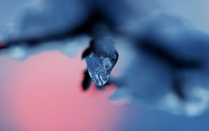 Ice Formation on Branch — Blue