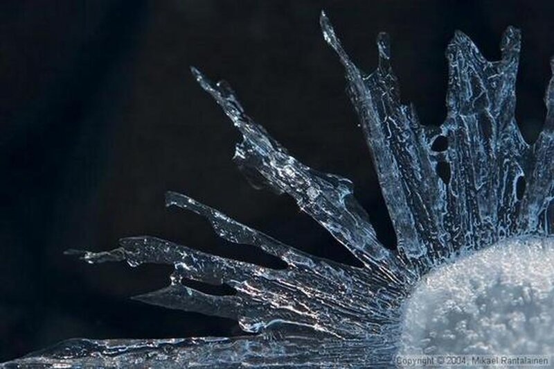 Ice Formation on Dark Surface