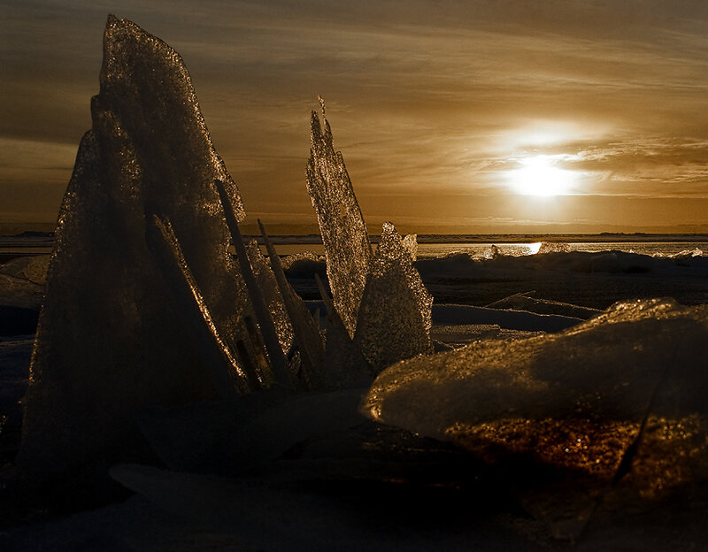 Ice Formations on Beach