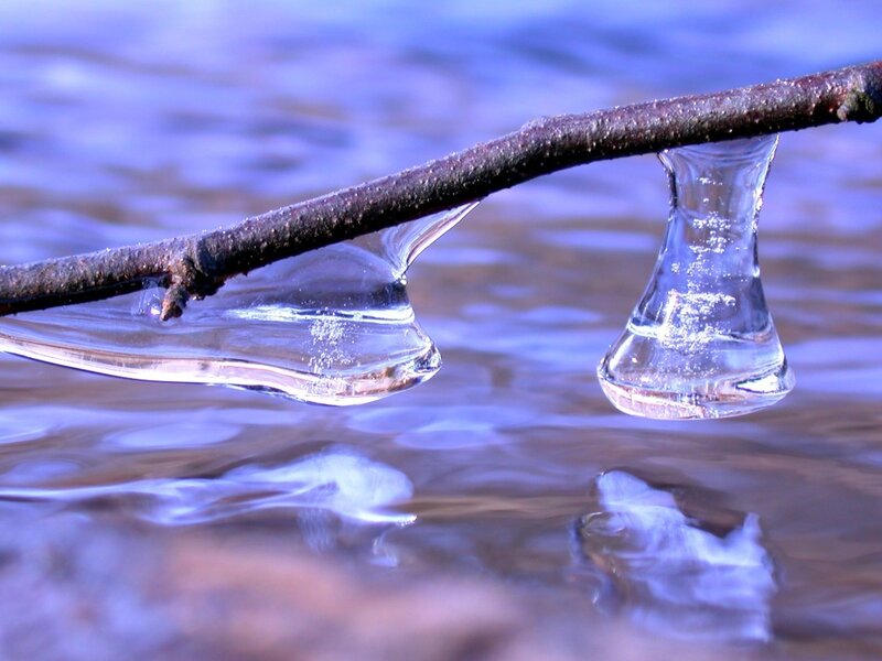 Ice Formations on Branch — Blue, Calm