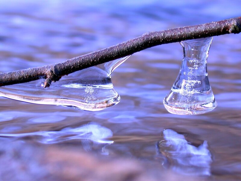 Ice Formations on Branch