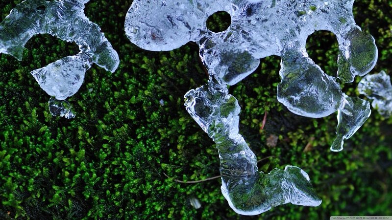Ice Formations on Moss