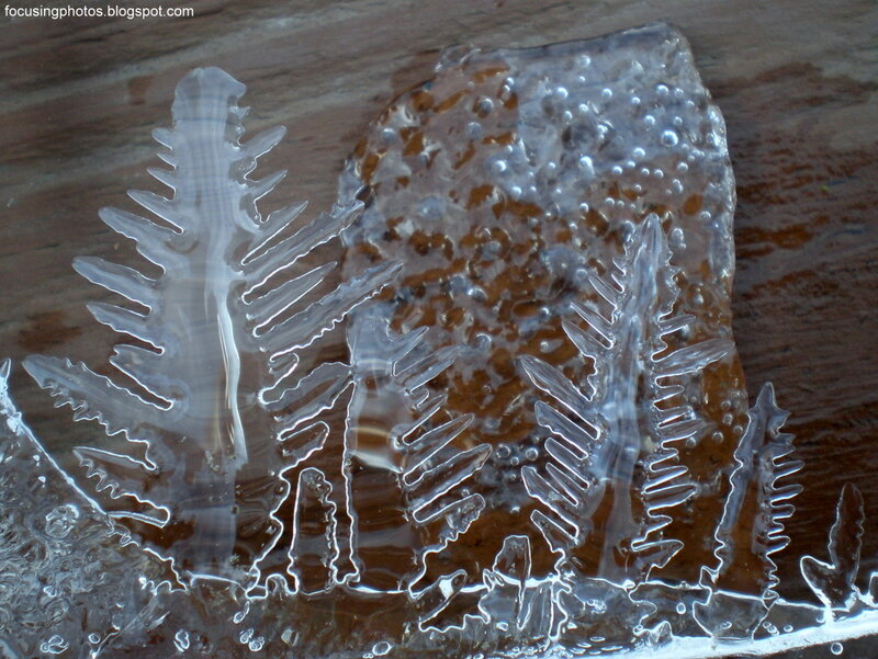 Ice Formations on Wood