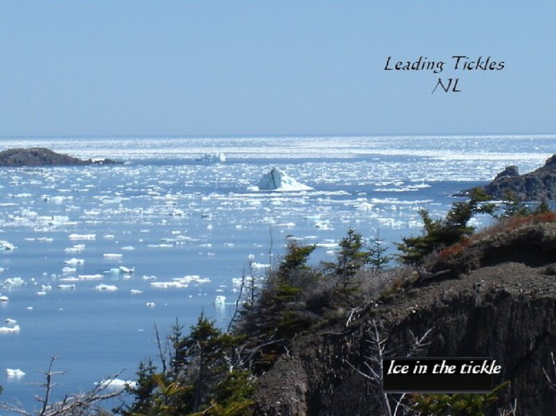 Ice in the Ocean