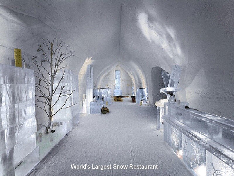 Ice Restaurant Interior
