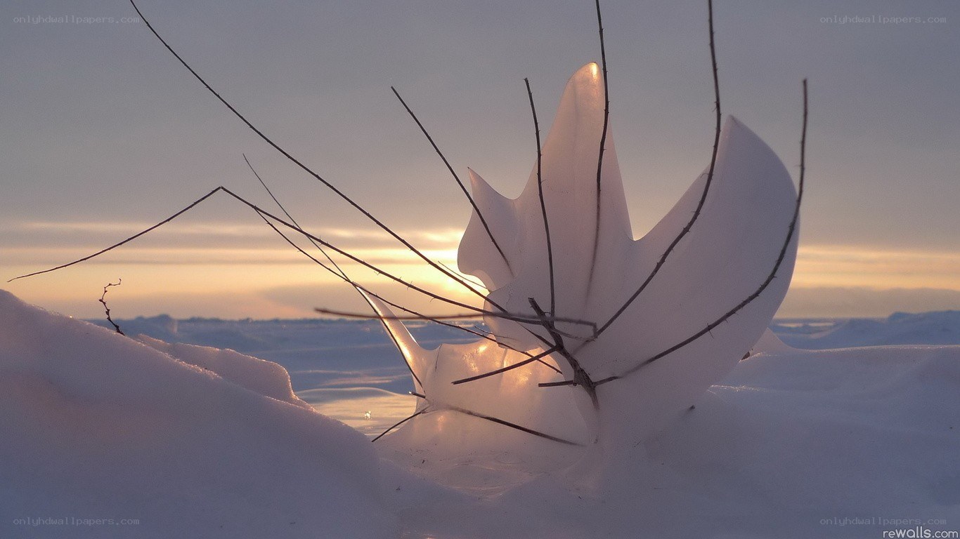ice sculpture at sunset