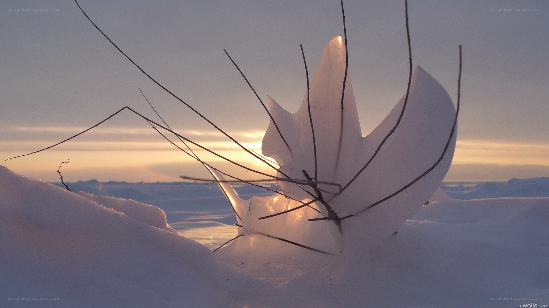 ice sculpture at sunset