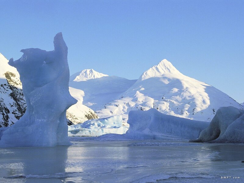 Ice Sculpture in Water