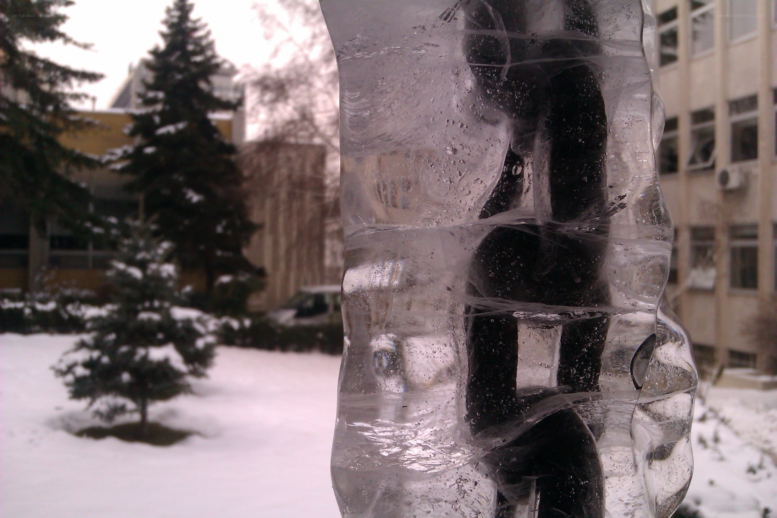 ice sculpture in winter