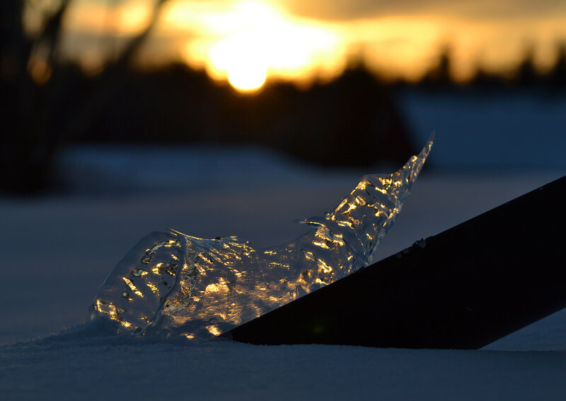 Ice Shard in Snow