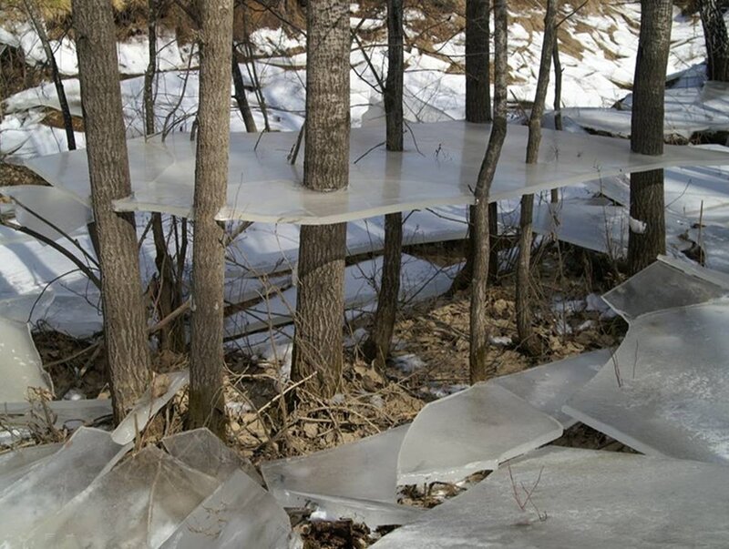 Ice Sheets in Forest