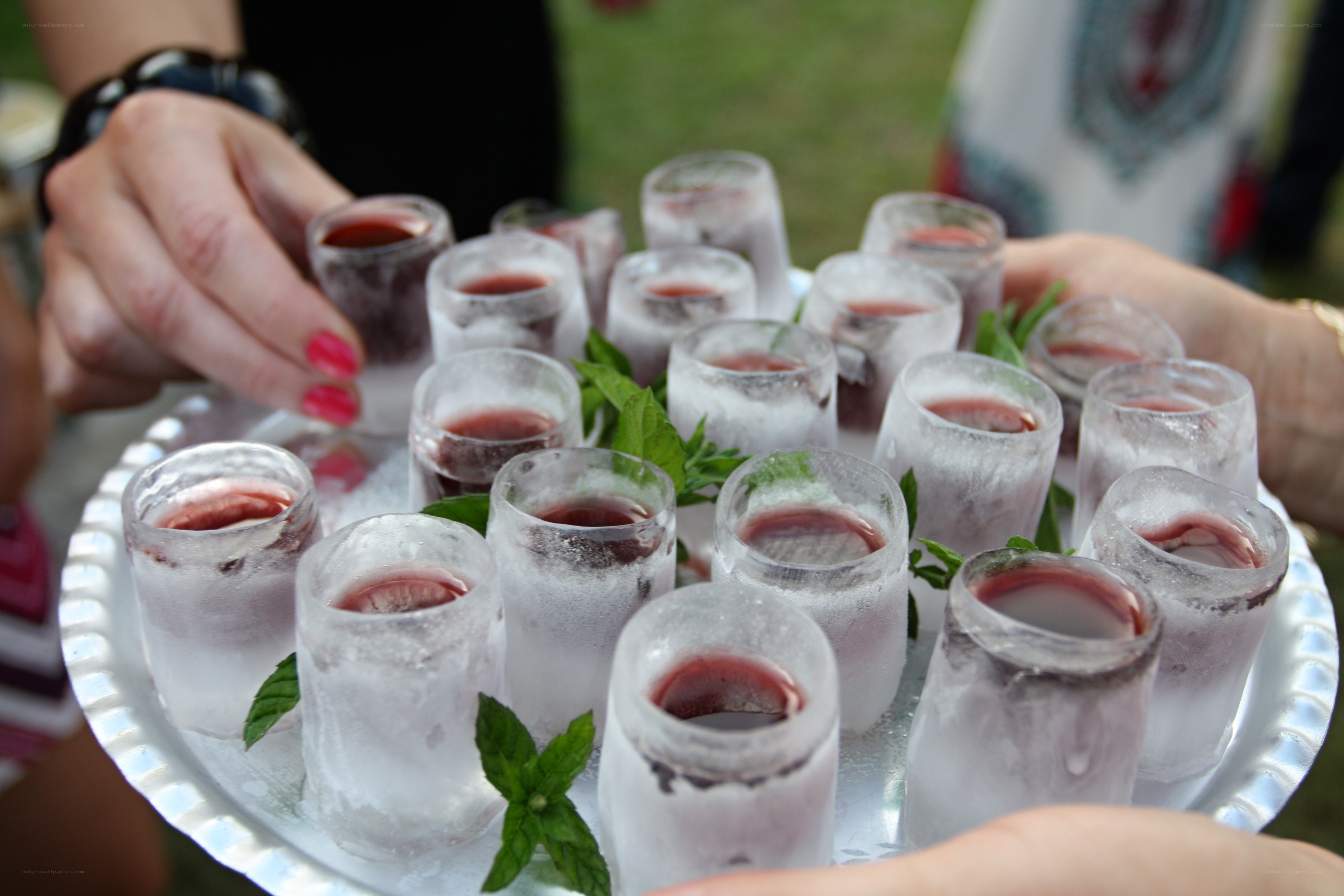 ice shot glasses with red liquid