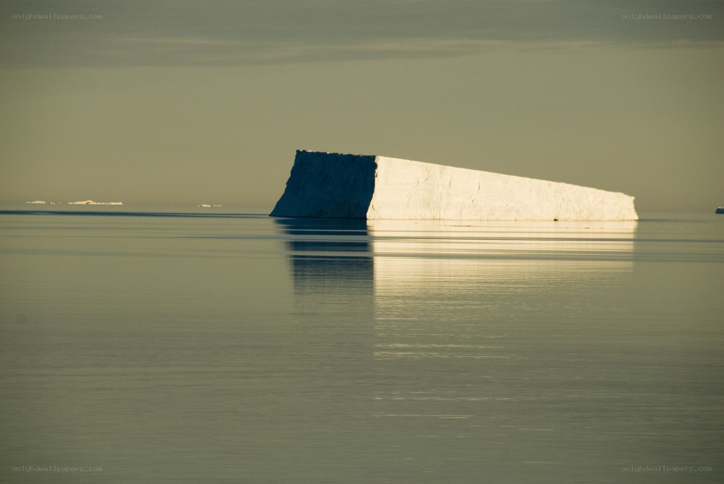 Iceberg floating in calm waters